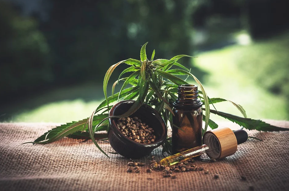 CBD oil with cannabis leaf